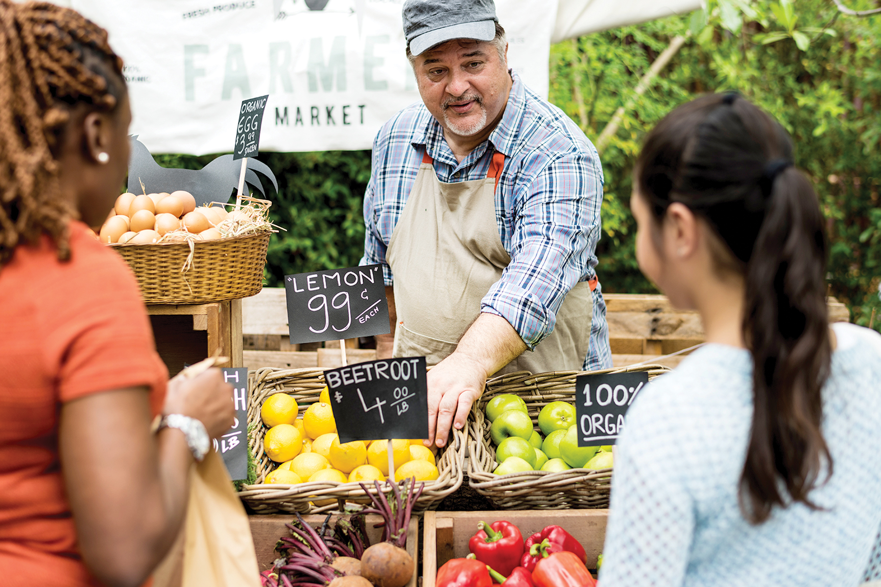 Starting A Farmers Market Business Mother Earth News